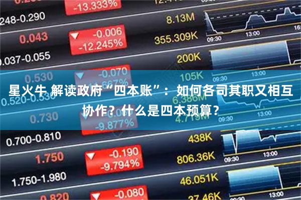 星火牛 解读政府“四本账”：如何各司其职又相互协作？什么是四本预算？