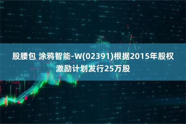 股腰包 涂鸦智能-W(02391)根据2015年股权激励计划发行25万股