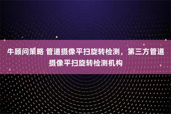 牛顾问策略 管道摄像平扫旋转检测，第三方管道摄像平扫旋转检测机构