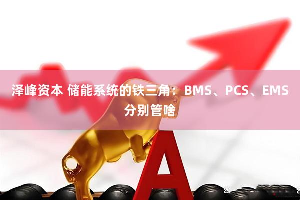 泽峰资本 储能系统的铁三角：BMS、PCS、EMS分别管啥
